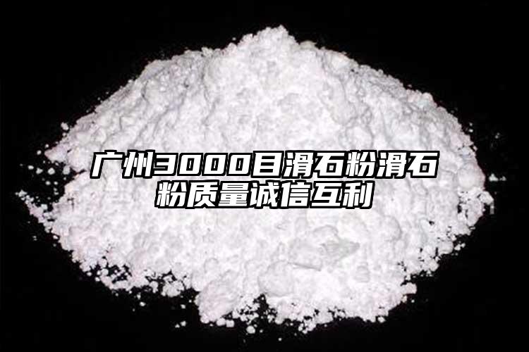 廣州3000目滑石粉滑石粉質(zhì)量誠信互利