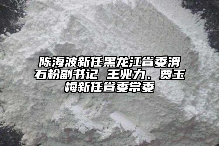 陳海波新任黑龍江省委滑石粉副書記 王兆力、賈玉梅新任省委常委