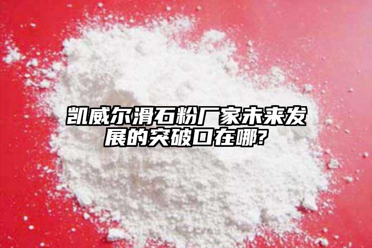 凱威爾滑石粉廠家未來發(fā)展的突破口在哪?